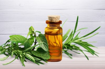 tea tree essential oil