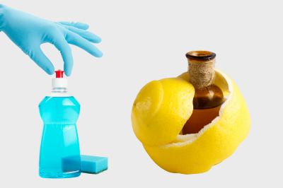 dish soap and lemon essentials oil